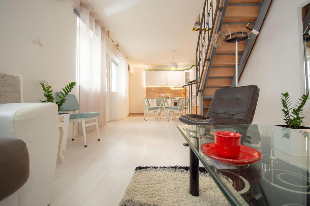 Central Duplex Apartment Novi Sad Exterior foto