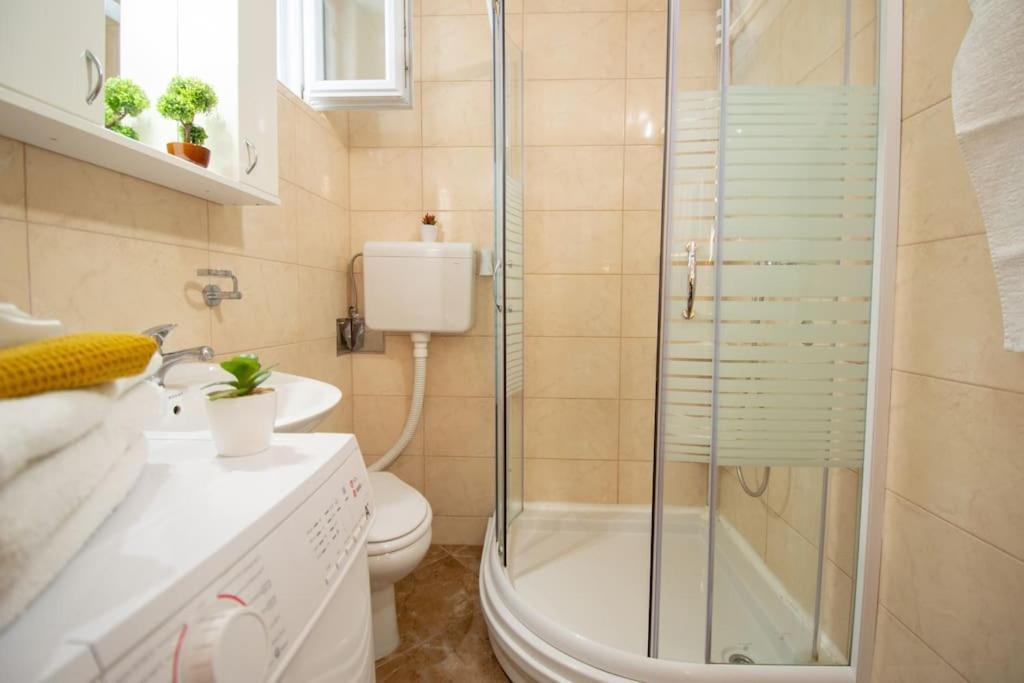 Central Duplex Apartment Novi Sad Exterior foto