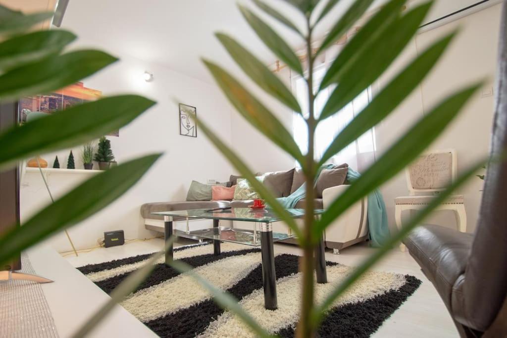 Central Duplex Apartment Novi Sad Exterior foto